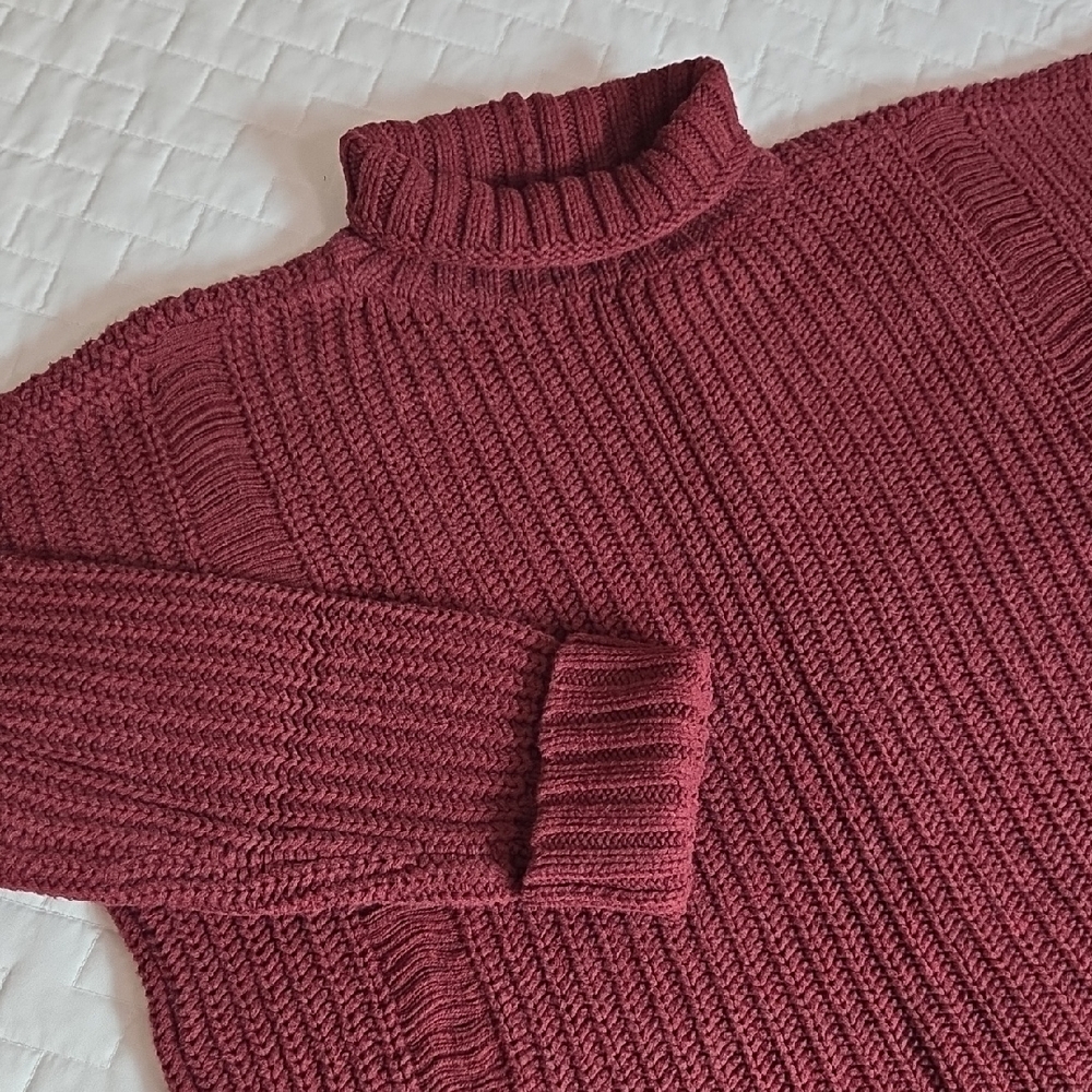 Express Rich Burgundy Turtleneck Sweater